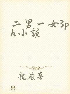 二男一女3p高h小说