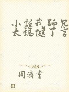 小说我师兄实在太稳健了言归正传电子书