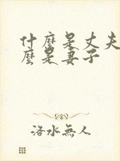 什么是丈夫 什么是妻子封面