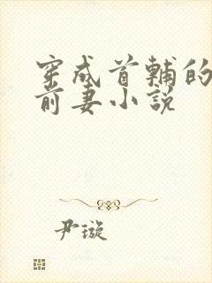 穿成首辅的炮灰前妻小说