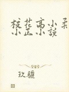 校花高小柔小刚小正小说