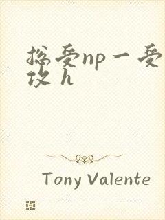 总受np一受多攻 h