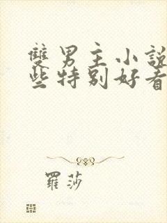 双男主小说有哪些特别好看的封面