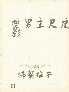 双男主尺度大电影