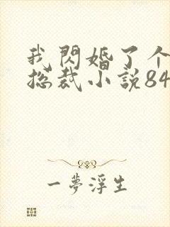 我闪婚了个亿万总裁小说84