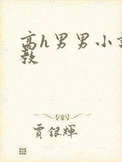 高h男男小说调教