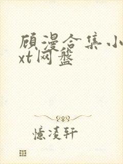 顾漫合集小说txt网盘