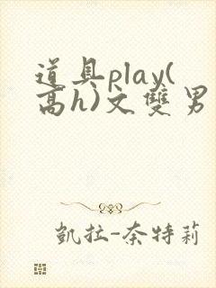 道具play(高h)文双男