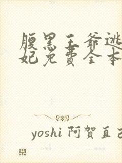 腹黑王爷逃跑王妃免费全本小说