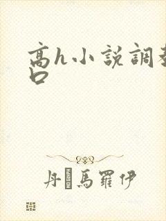 高h小说调教重口封面