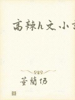 高辣h文小说封面