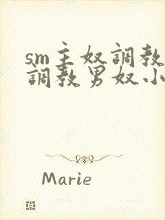 sm主奴调教:调教男奴小说