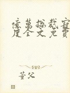 亿万总裁宠妻无度全文免费阅读封面