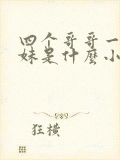 四个哥哥一个妹妹是什么小说