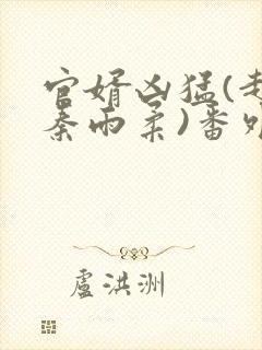 官婿凶猛(赵阳秦雨柔)番外+大结局小说