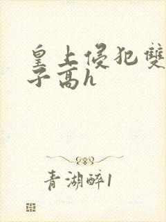 皇上侵犯双性太子高h