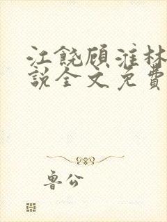 江饶顾淮林澈小说全文免费阅读