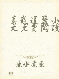 真武道医小说全文免费阅读无弹窗