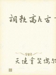 调教高h古言