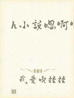 h小说嗯啊啊封面