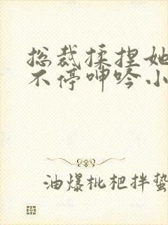 总裁揉捏她两乳不停呻吟小说