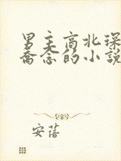 男主商北琛女主乔念的小说