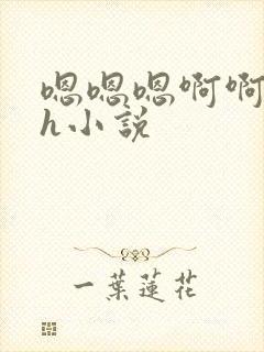 嗯嗯嗯啊啊啊高h小说封面