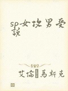 sp女攻男受小说