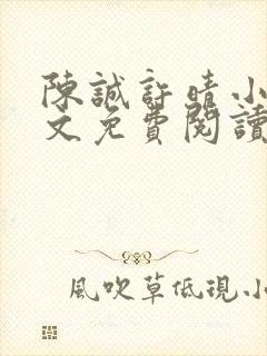 陈诚许晴小说全文免费阅读最新章节