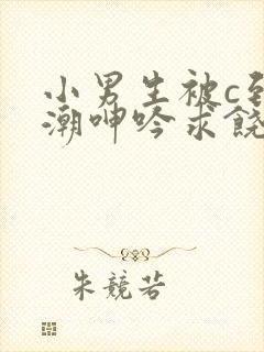 小男生被c到高潮呻吟求饶