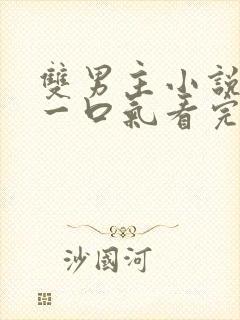 双男主小说推文一口气看完.