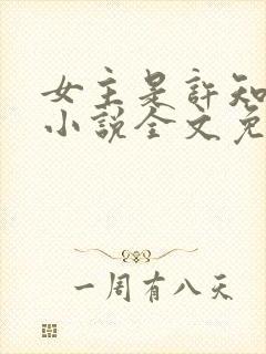 女主是许知意的小说全文免费阅读