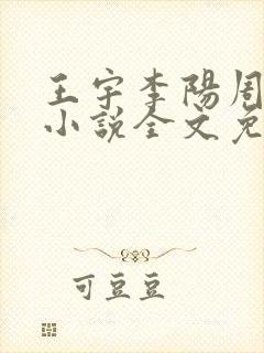 王宇李阳周美琴小说全文免费阅读