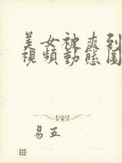 美女被爽到呻吟视频动态图