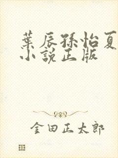 叶辰孙怡夏若雪小说正版