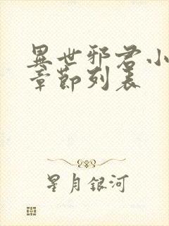 异世邪君小说新章节列表