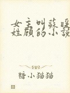 女主叫苏暖男主姓顾的小说