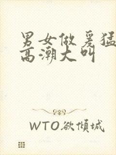 男女做爰猛烈动高潮大叫