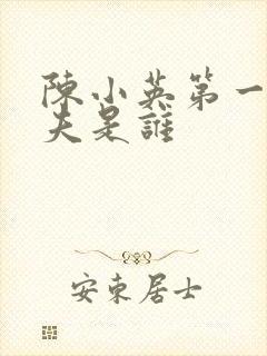 陈小英第一任丈夫是谁封面