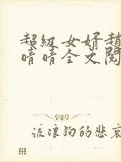 超级女婿赵旭李晴晴全文阅读全文免费阅读封面