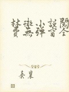 林微小说阅读免费无弹窗全文
