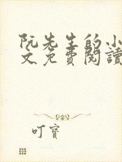 阮先生的小说全文免费阅读无弹窗封面