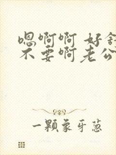 嗯啊啊 好舒服不要啊老公轻点好爽啊啊,小说封面