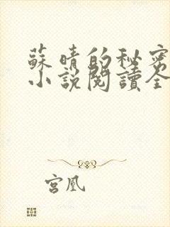 苏晴的秘密言情小说阅读全文免费