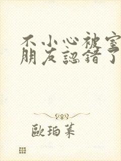 不小心被室友男朋友认错了宁笑阿温封面