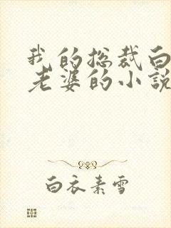 我的总裁白富美老婆的小说免费阅读