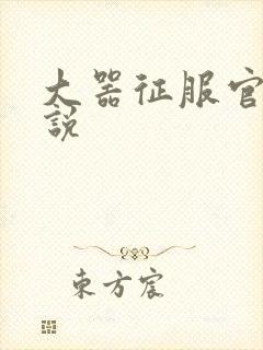 大器征服官场小说