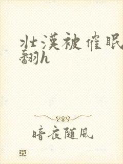 壮汉被催眠做爽翻h