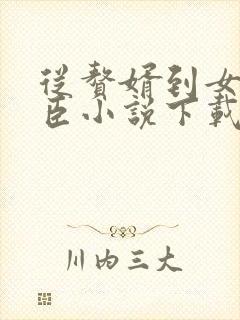 从赘婿到女帝宠臣小说下载txt