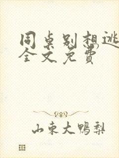 同桌别想逃小说全文免费